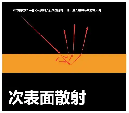 41_副本.webp