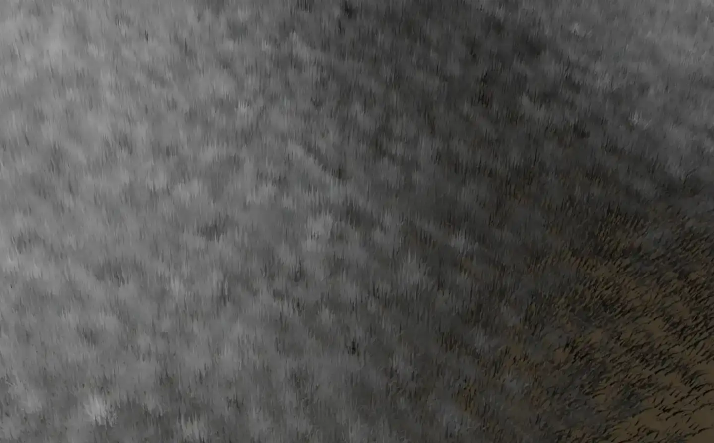 11_副本.webp