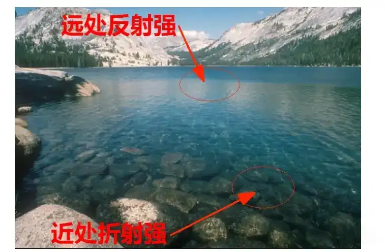 66_副本.webp